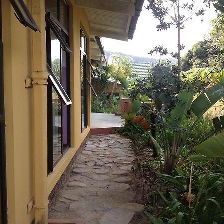 Jungle Monkey Backpackers Hostel Port Saint John's Ngoại thất bức ảnh