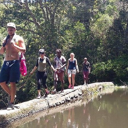 Jungle Monkey Backpackers Hostel Port Saint John's Ngoại thất bức ảnh