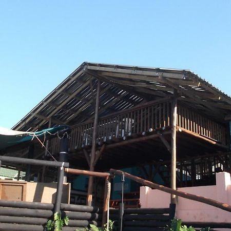 Jungle Monkey Backpackers Hostel Port Saint John's Ngoại thất bức ảnh
