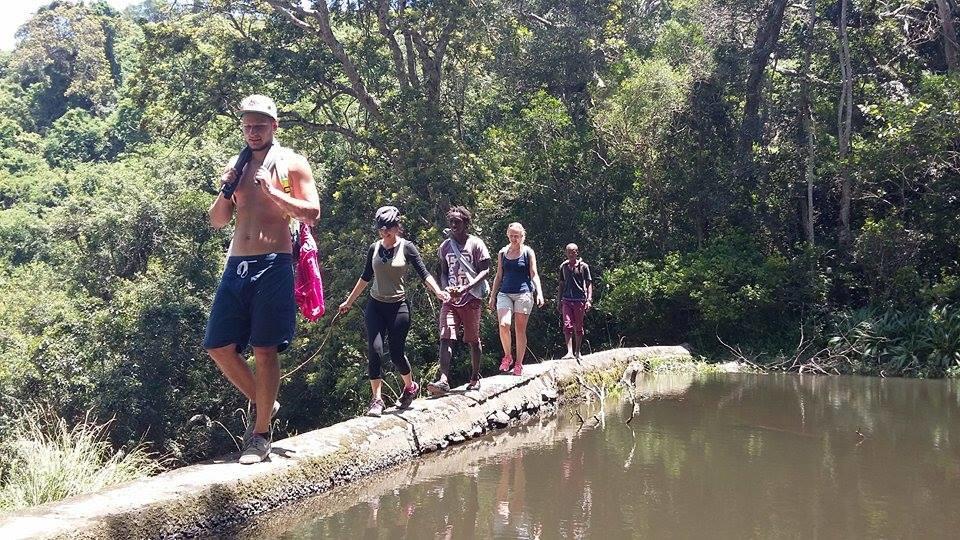 Jungle Monkey Backpackers Hostel Port Saint John's Ngoại thất bức ảnh