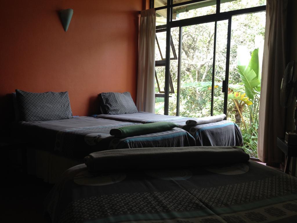 Jungle Monkey Backpackers Hostel Port Saint John's Phòng bức ảnh