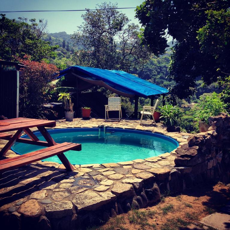 Jungle Monkey Backpackers Hostel Port Saint John's Phòng bức ảnh