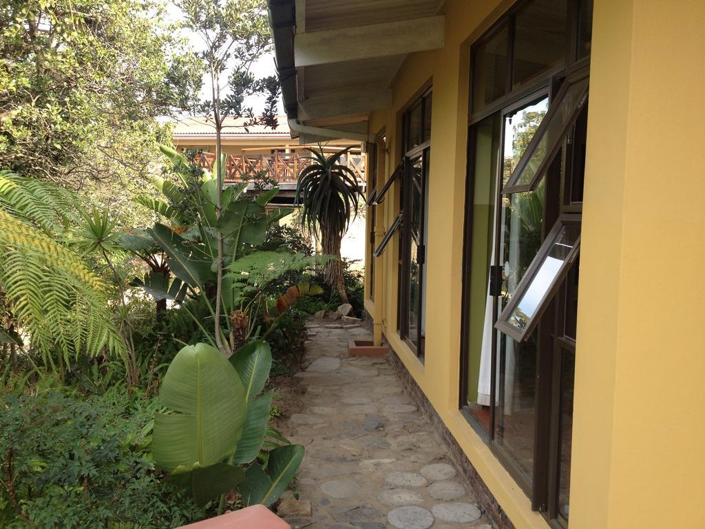 Jungle Monkey Backpackers Hostel Port Saint John's Phòng bức ảnh
