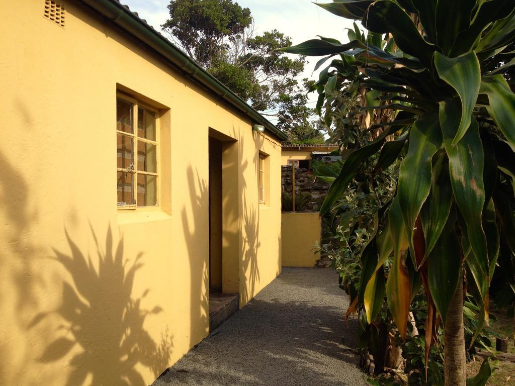 Jungle Monkey Backpackers Hostel Port Saint John's Phòng bức ảnh