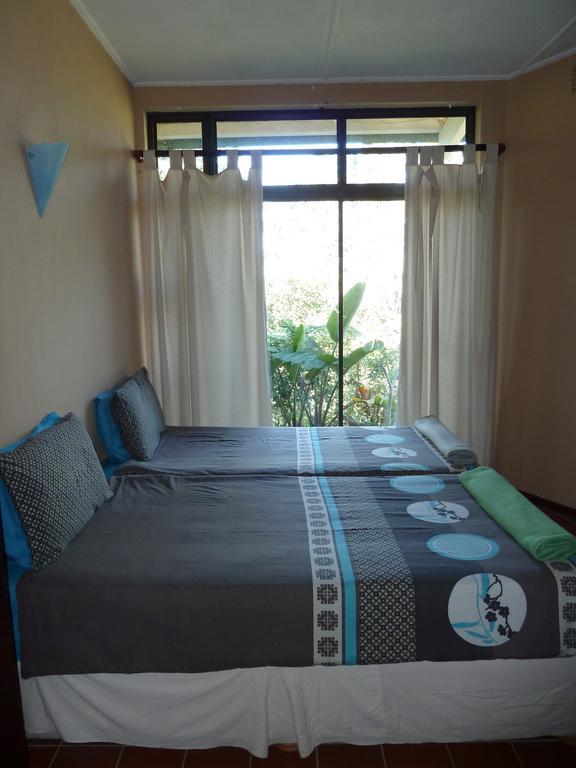Jungle Monkey Backpackers Hostel Port Saint John's Phòng bức ảnh