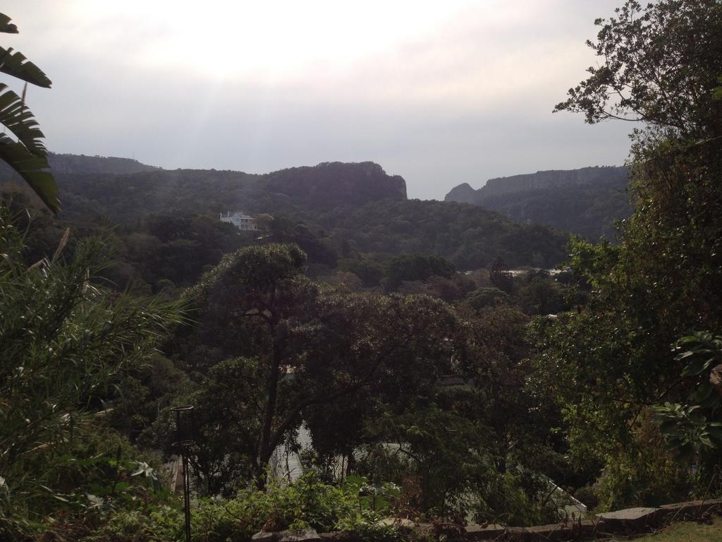 Jungle Monkey Backpackers Hostel Port Saint John's Phòng bức ảnh
