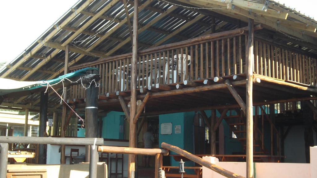 Jungle Monkey Backpackers Hostel Port Saint John's Ngoại thất bức ảnh