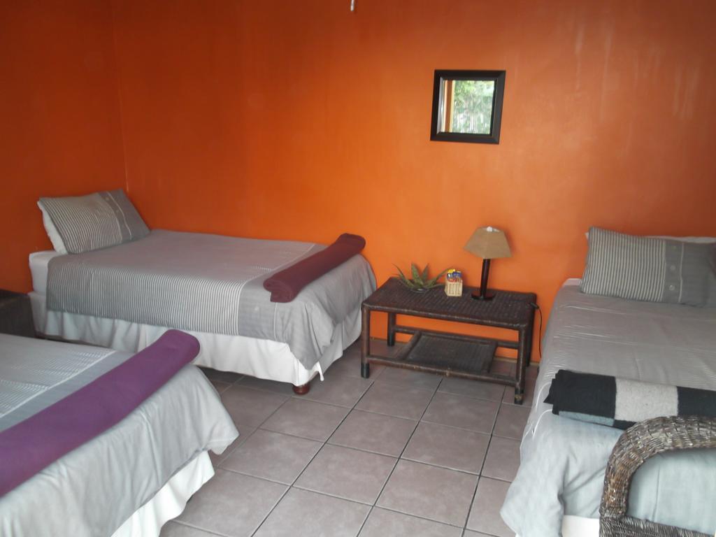 Jungle Monkey Backpackers Hostel Port Saint John's Ngoại thất bức ảnh