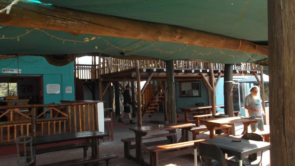 Jungle Monkey Backpackers Hostel Port Saint John's Ngoại thất bức ảnh