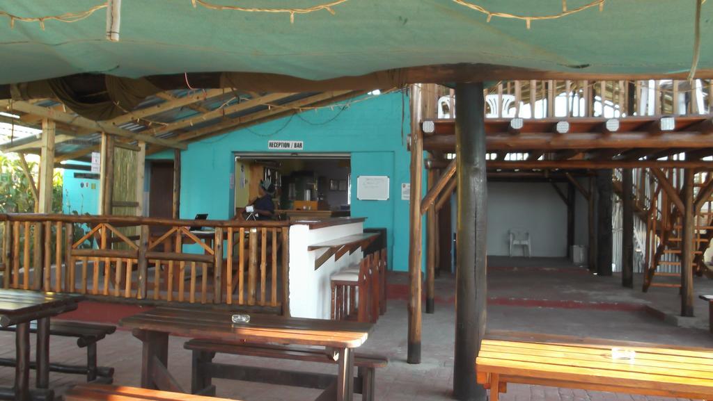 Jungle Monkey Backpackers Hostel Port Saint John's Ngoại thất bức ảnh